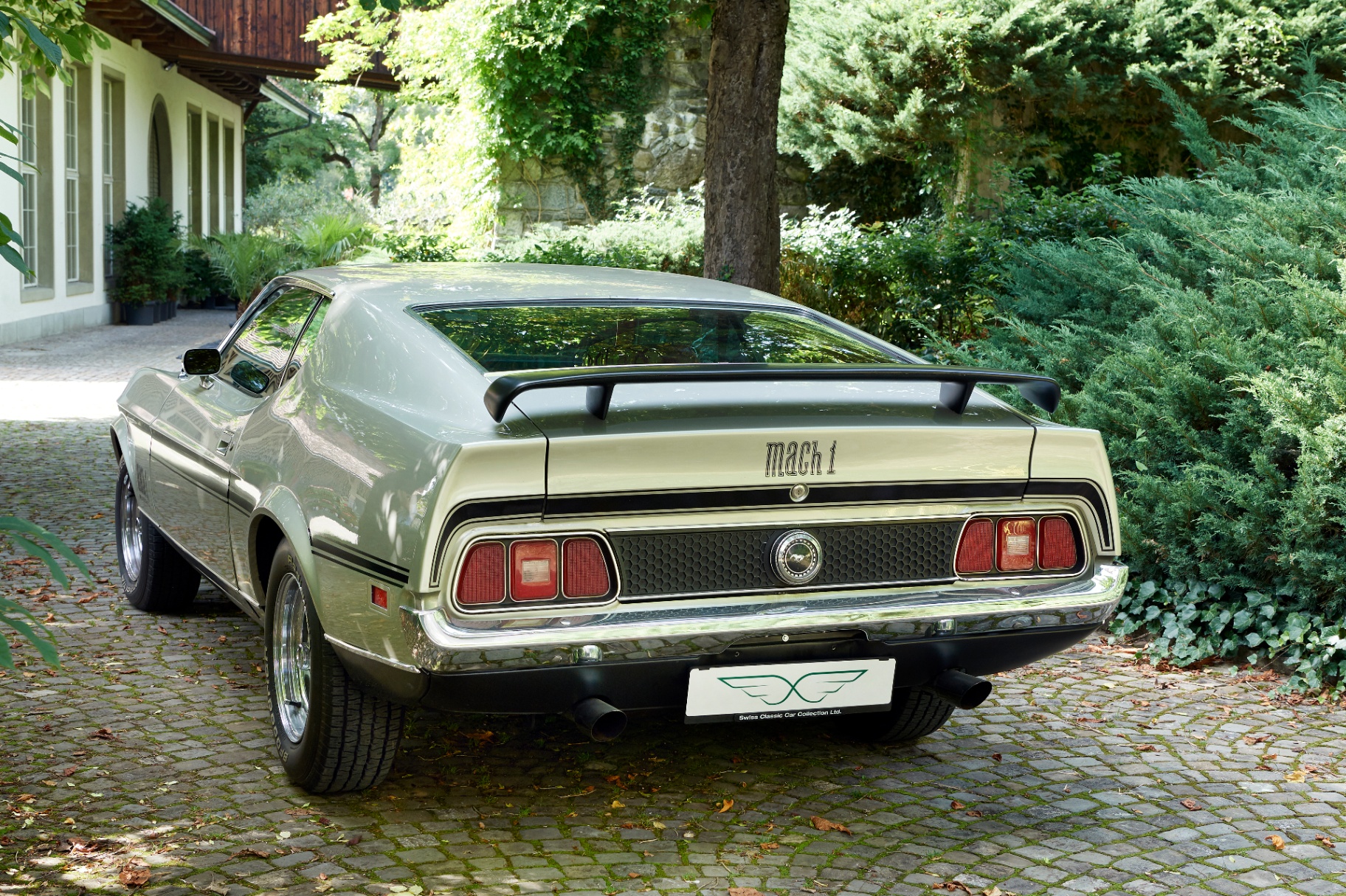 Ford Mustang Mach 1 — 2