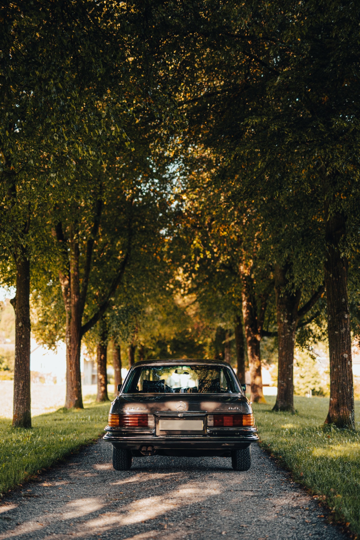 Mercedes-Benz 450 SEL 6.9 — 3